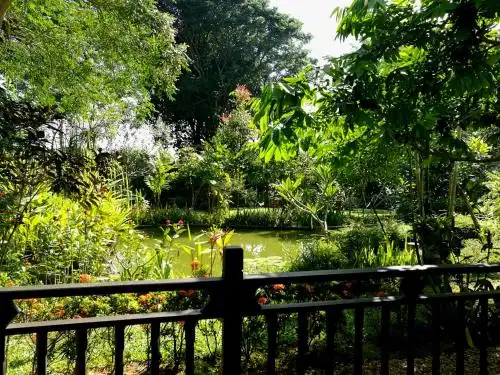Villa Albizia in Chiang Mai - 28