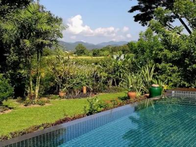 Villa Albizia in Chiang Mai - 8
