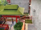 Executive Single room