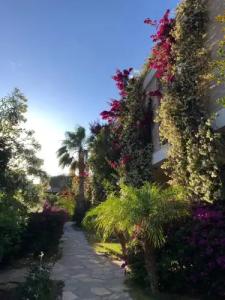 Spektr Boutique - 10