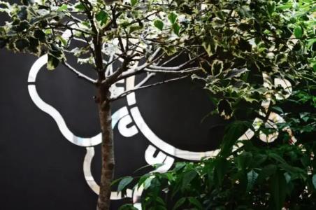 Piazza Castello Suite - 102