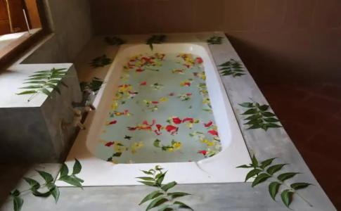 Pinthaliya Resort - 6