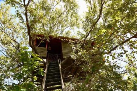 Pinthaliya Resort - 60