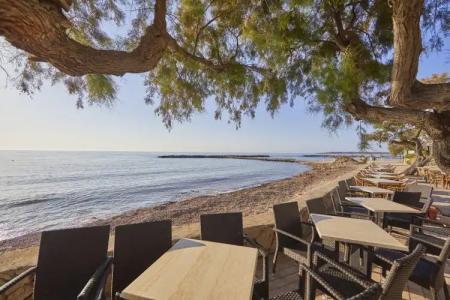 Ilusion Moreyo - Adults Only - 22