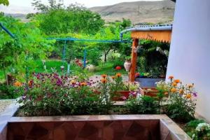 Ararat B&B, Ch'iva