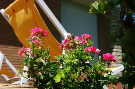 B&B Tre Conigli Sul Comò - 9