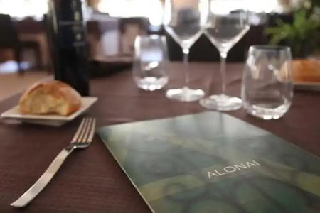 Santara Wellness Resort - 7