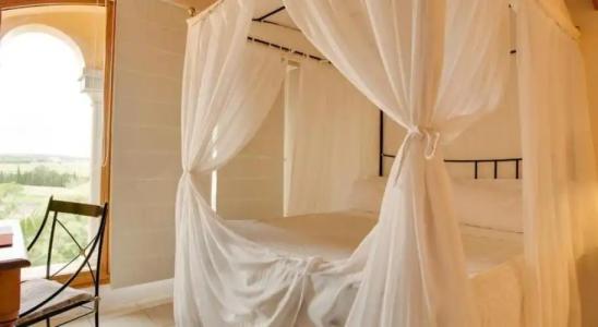 Casal Santa Eulàlia - 32