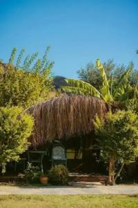 Turkuaz Bungalows - 124