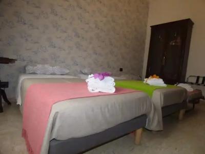 Conte Di Morelia - 2