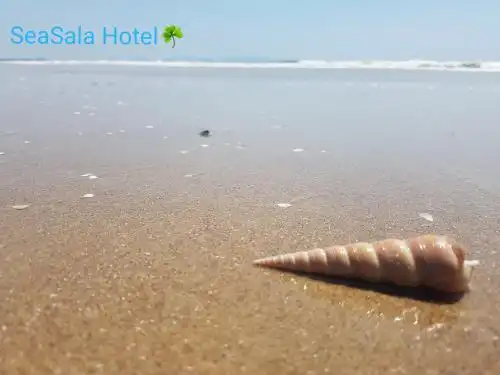 SeaSala - 1