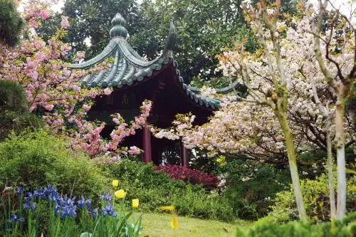 Zhejiang Xizi - 14