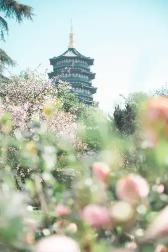 Zhejiang Xizi - 17