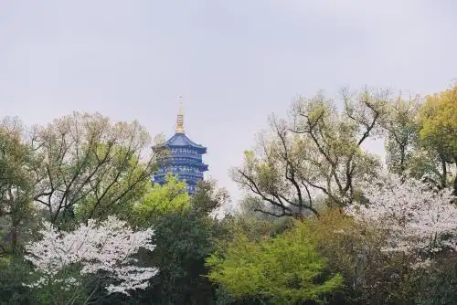 Zhejiang Xizi - 23