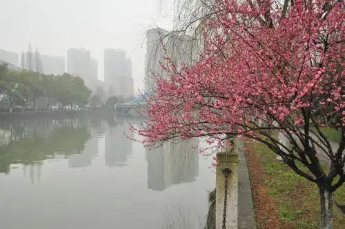 Zhejiang Xiangyuan - 0