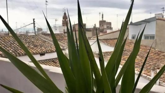 MD Design Portal del Real - 18