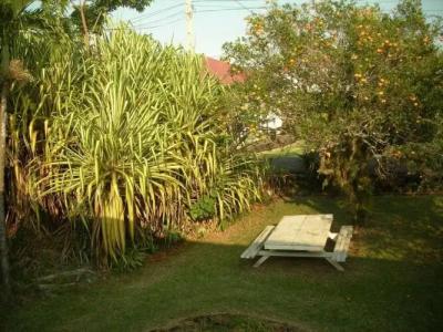 Shaka Shak Guest House - 12