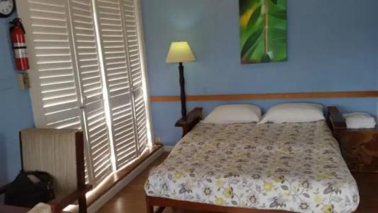 Shaka Shak Guest House - 4