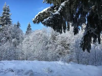 Panorama Pamporovo - 26