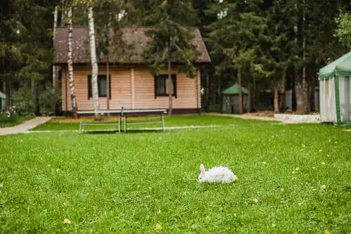 Усадьба Ромашкино - 0