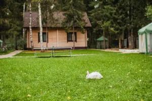 Guest House Romashkino, Luneva