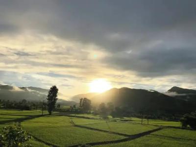 Hinpha Homestay - 27