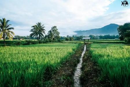 Hinpha Homestay - 13