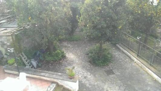 DOMINO HOUSE - Il Casale - 61