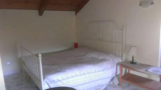 DOMINO HOUSE - Il Casale - 2