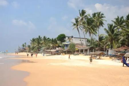 Sundowners Guesthouse - 21