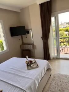 B. Equine Range - 42