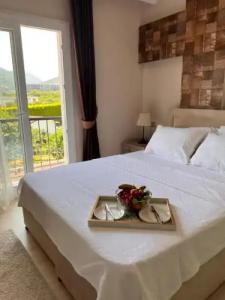 B. Equine Range - 24