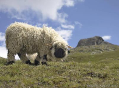 Riffelalp Resort 2222m - 21