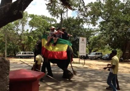 Cassandra Culture Resort - 23