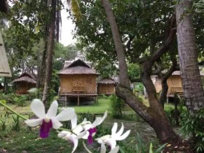 Koh mook coco lodge - 3