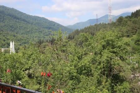 Dilijan Garden House - 9