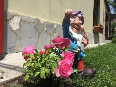 Dilijan Garden House - 12