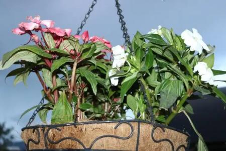 Dilijan Garden House - 54