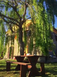 Bed & Breakfast Podere La Pace - 7