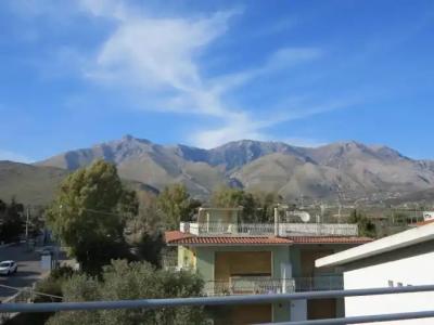 Albergo Little Garden - 12