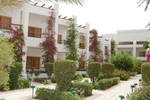 Menaville Safaga, Safaga