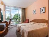 Standard Double room with balcony and with park view