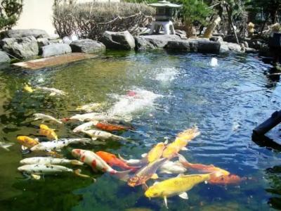 Ryokan Ichinomatsu - 11