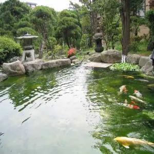 Ryokan Ichinomatsu - 24