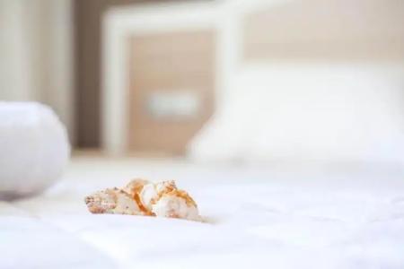 Lido Star Beach - 36