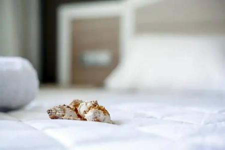 Lido Star Beach - 79