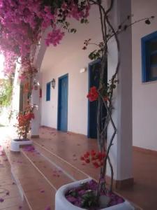 Boutique Tilos Mare - 20