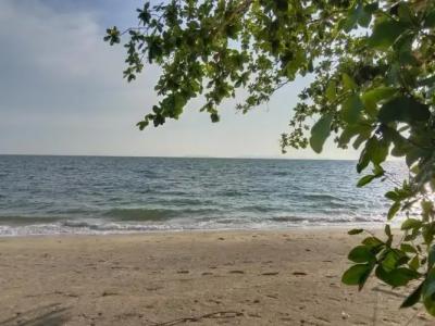 Kohjum Relax Beach - 42