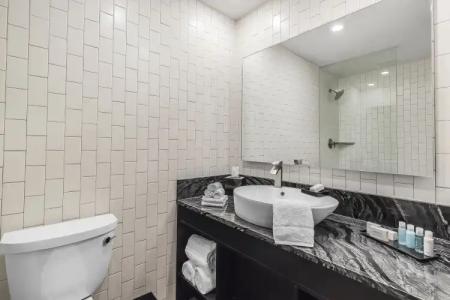 Lorenzo Dallas, Tapestry Collection by Hilton - 7