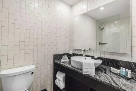 Lorenzo Dallas, Tapestry Collection by Hilton - 40